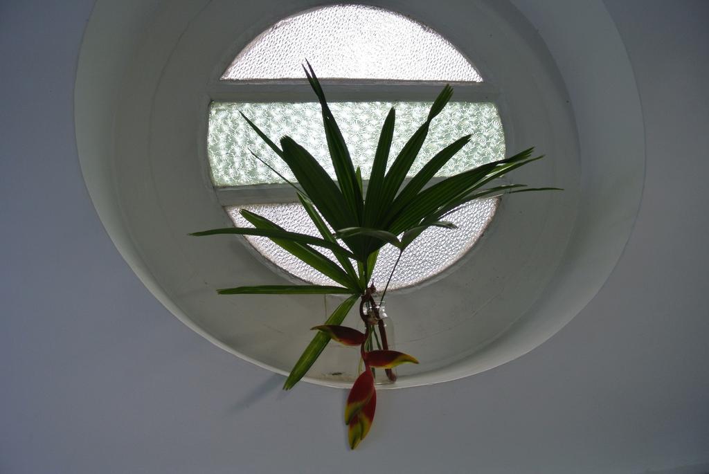 "27" Spathodea- Oasis In The City コロンボ 部屋 写真